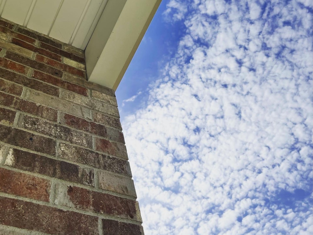 Sprained My Brainkle