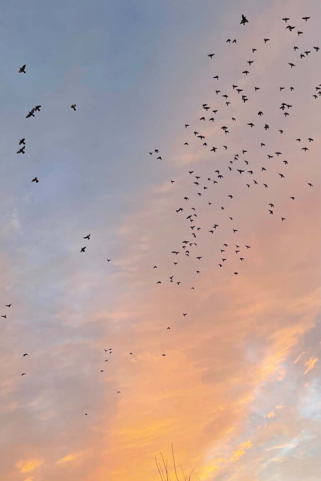 On Roots and&nbsp;Wings