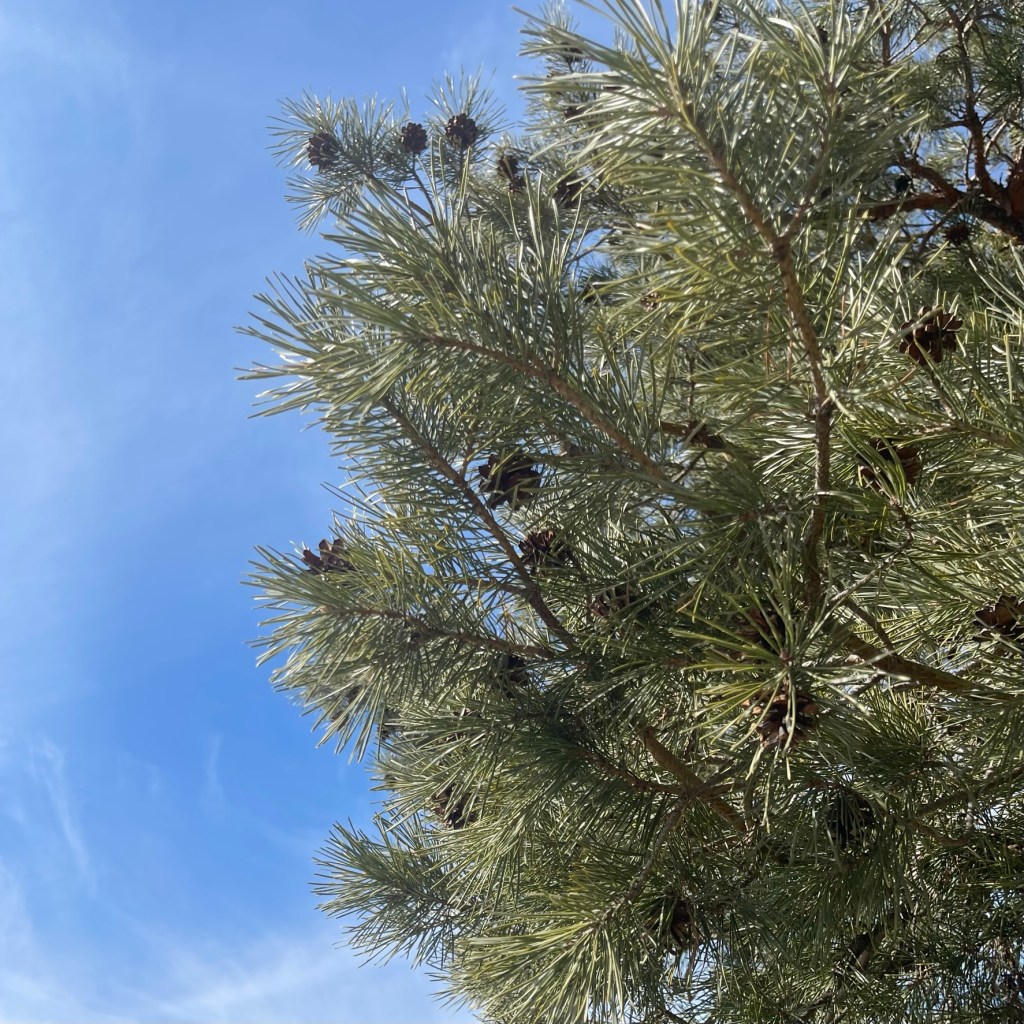 Want to Join the&nbsp;Club?