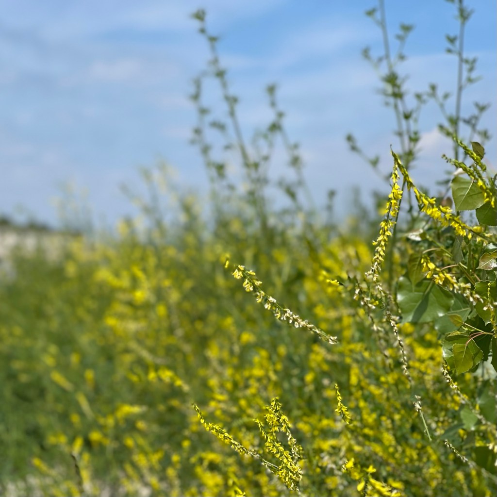 Just a Few Words&nbsp;Away