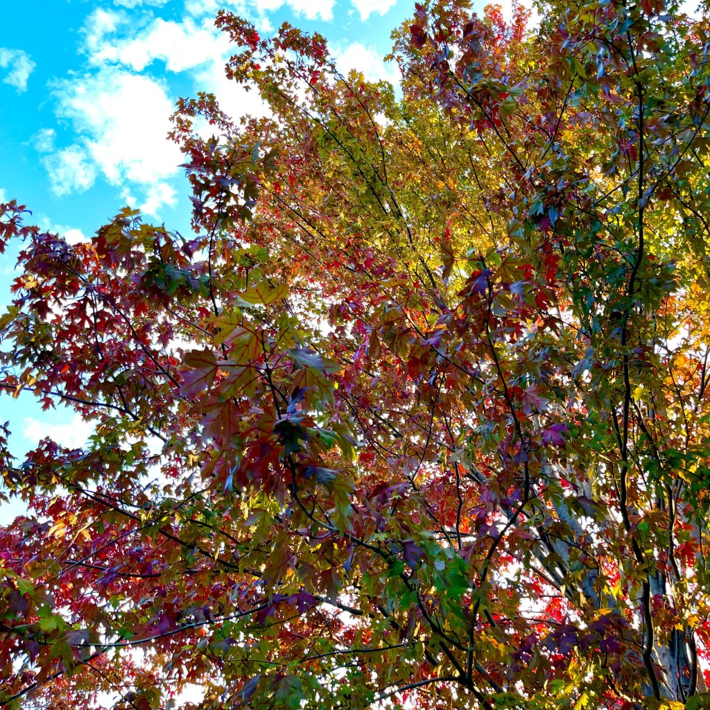 What a Difference a Year&nbsp;Makes