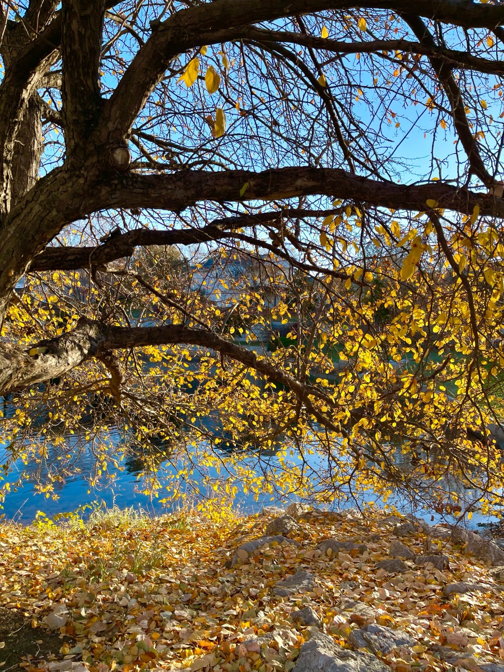 I Am Two Years&nbsp;Sober