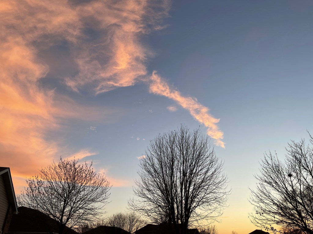 A Half-Marathon Update that’s Not about the&nbsp;Half-Marathon