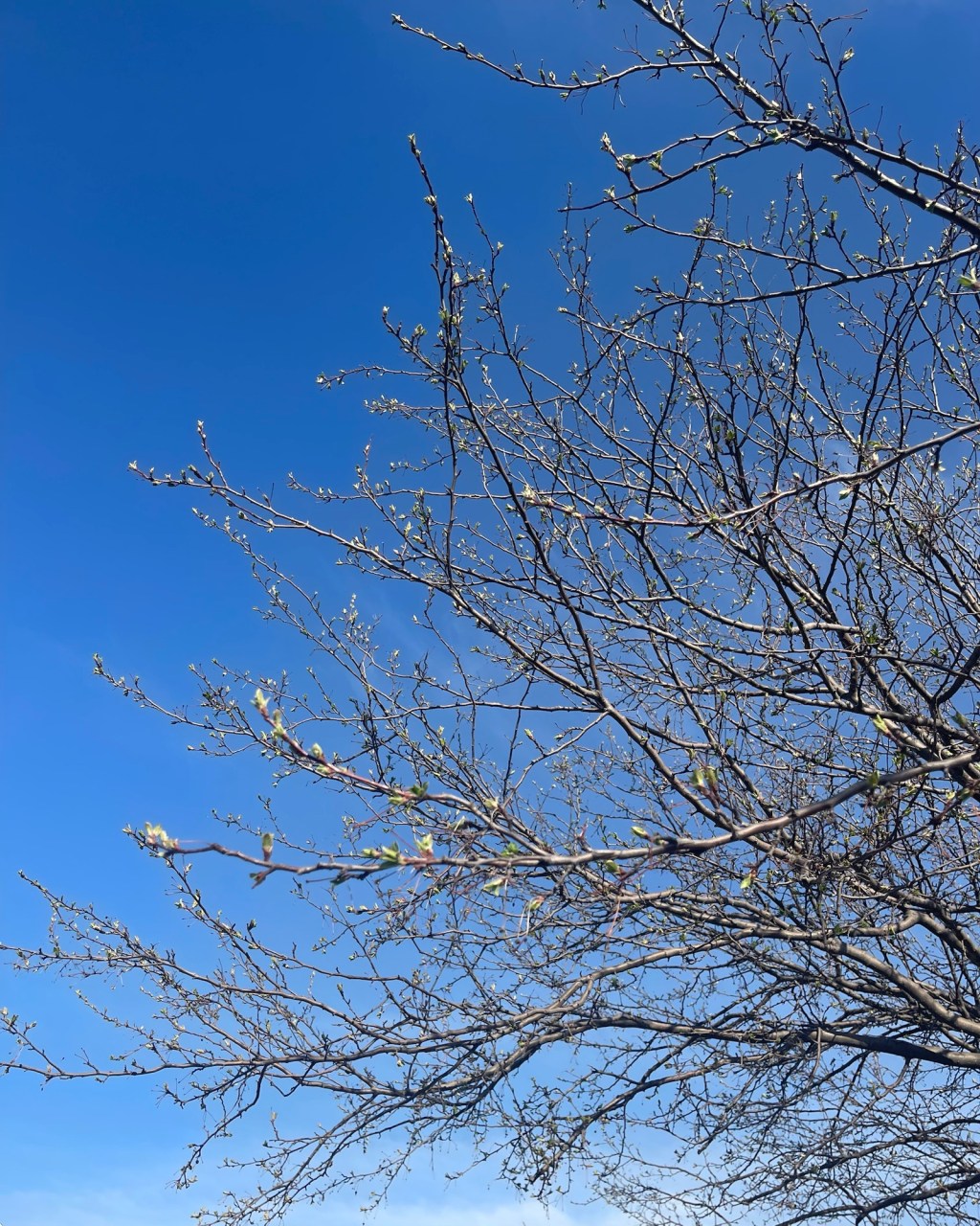 I’m Allowed to Change My Mind: Four Months into&nbsp;Training