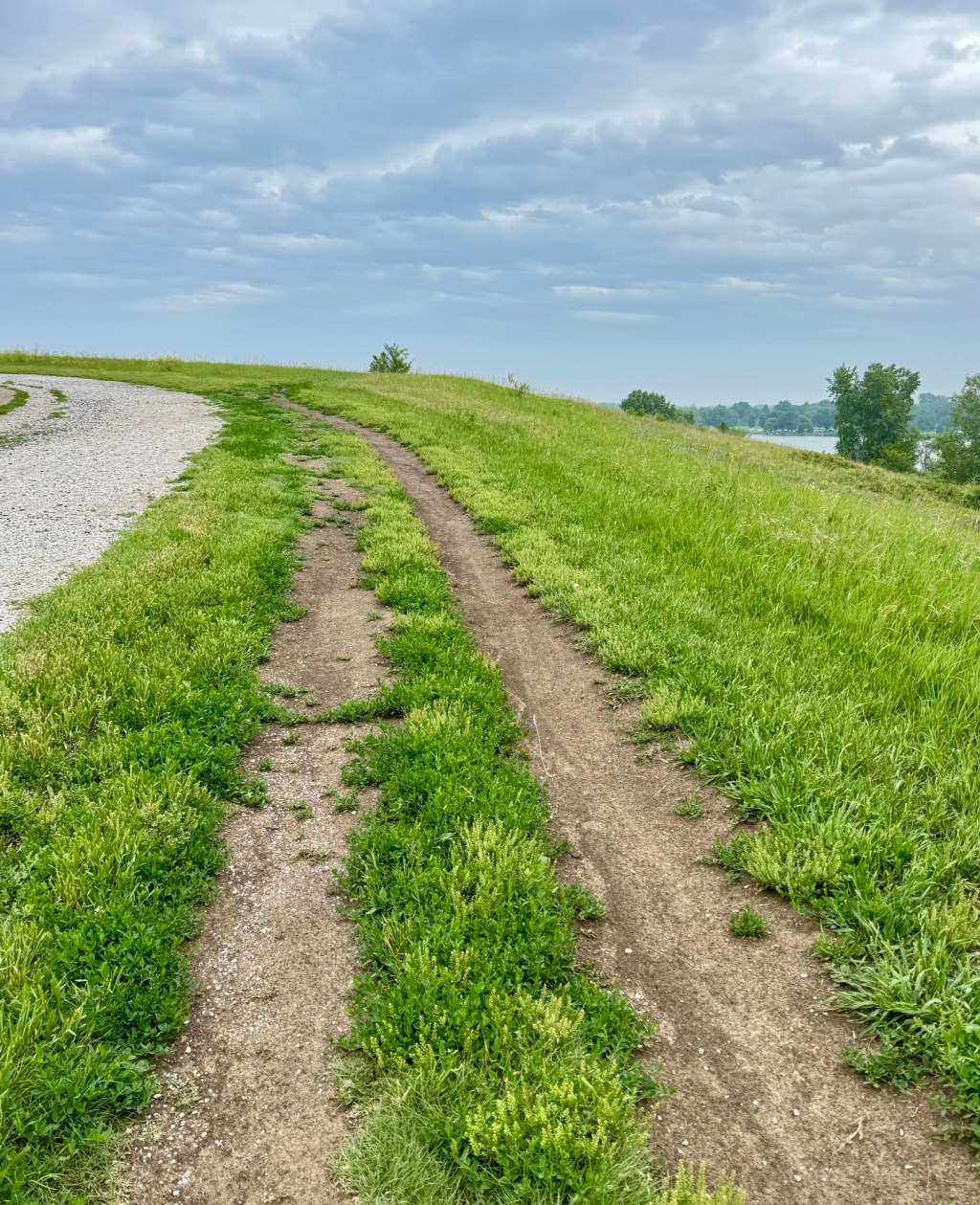 Nebraska Triptych