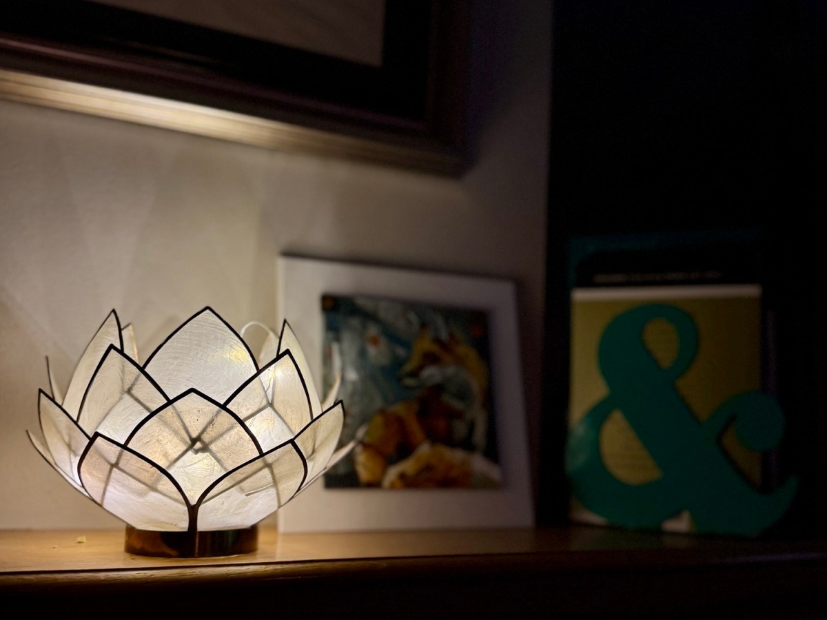 Back to the&nbsp;Beginning