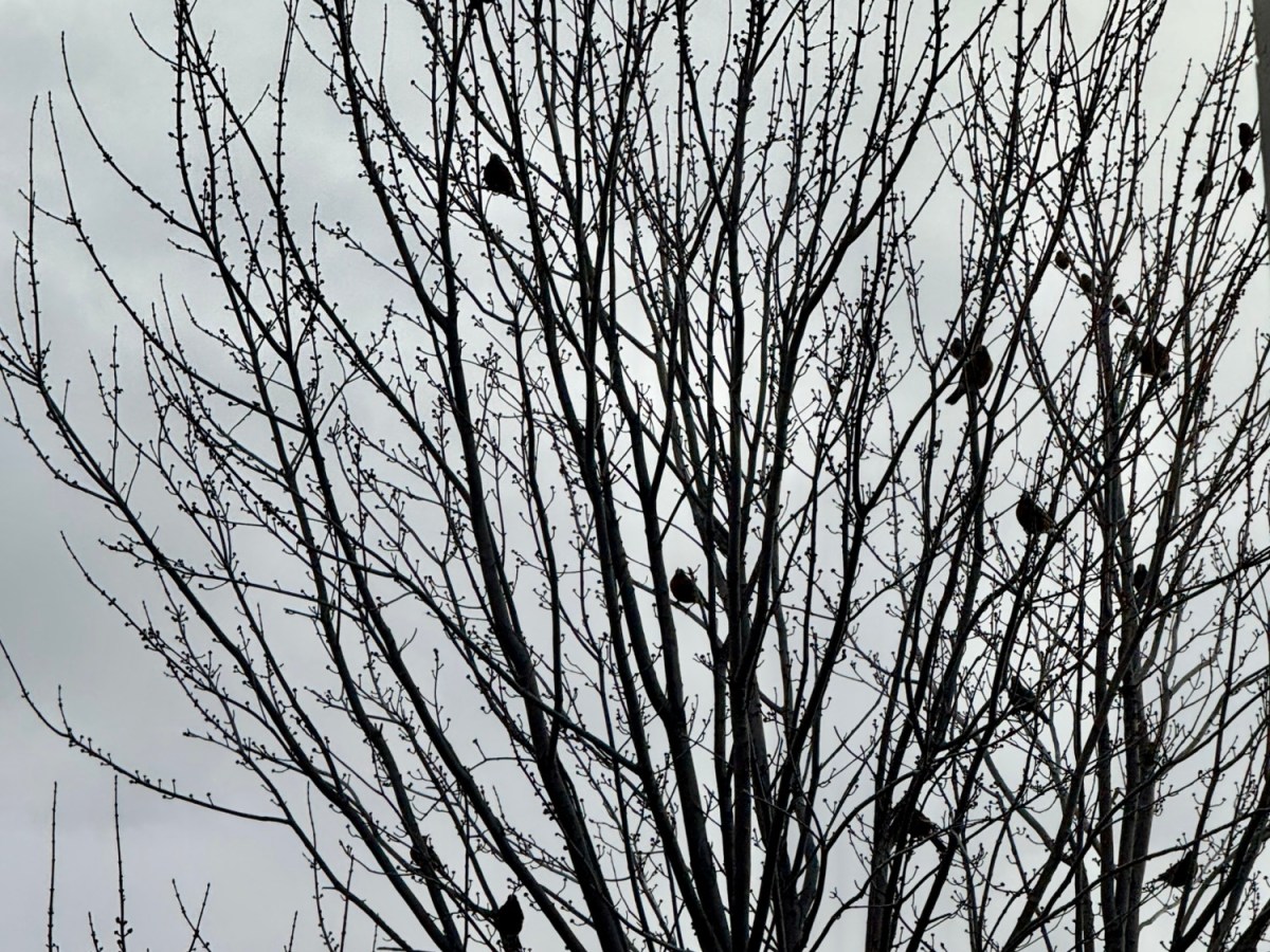 Conservation of Energy&nbsp;&nbsp;